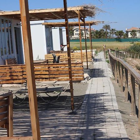 Summer Dream Cyprus Maroni Zewnętrze zdjęcie