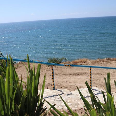 Summer Dream Cyprus Maroni Zewnętrze zdjęcie
