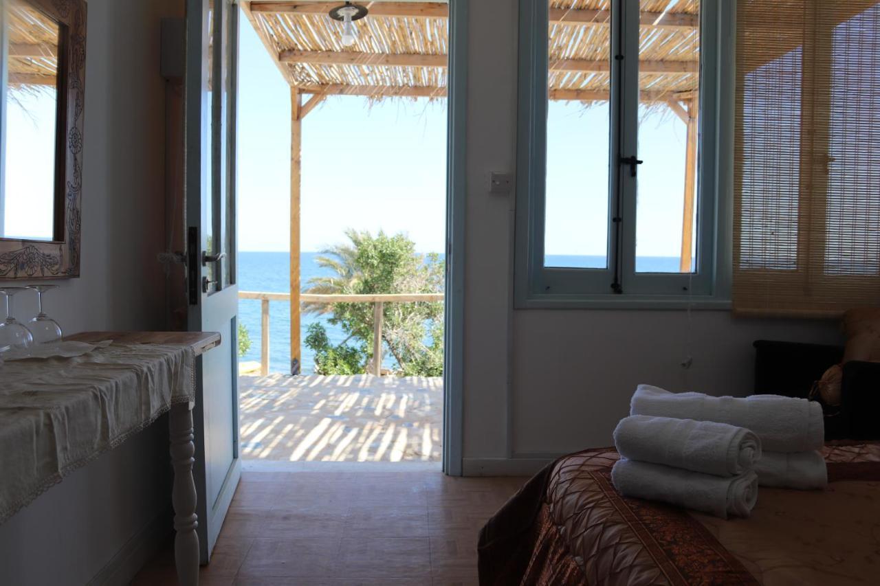 Summer Dream Cyprus Maroni Zewnętrze zdjęcie