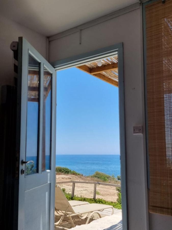 Summer Dream Cyprus Maroni Zewnętrze zdjęcie