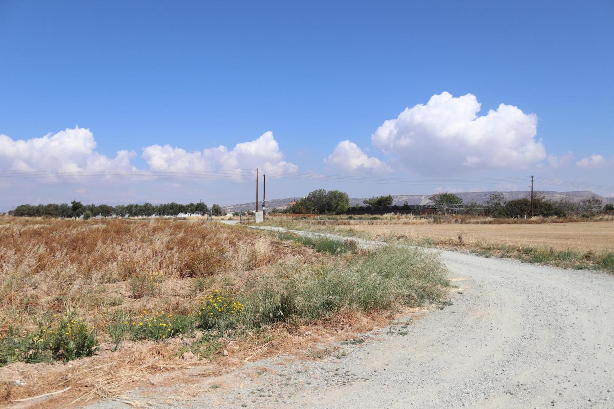 Summer Dream Cyprus Maroni Zewnętrze zdjęcie