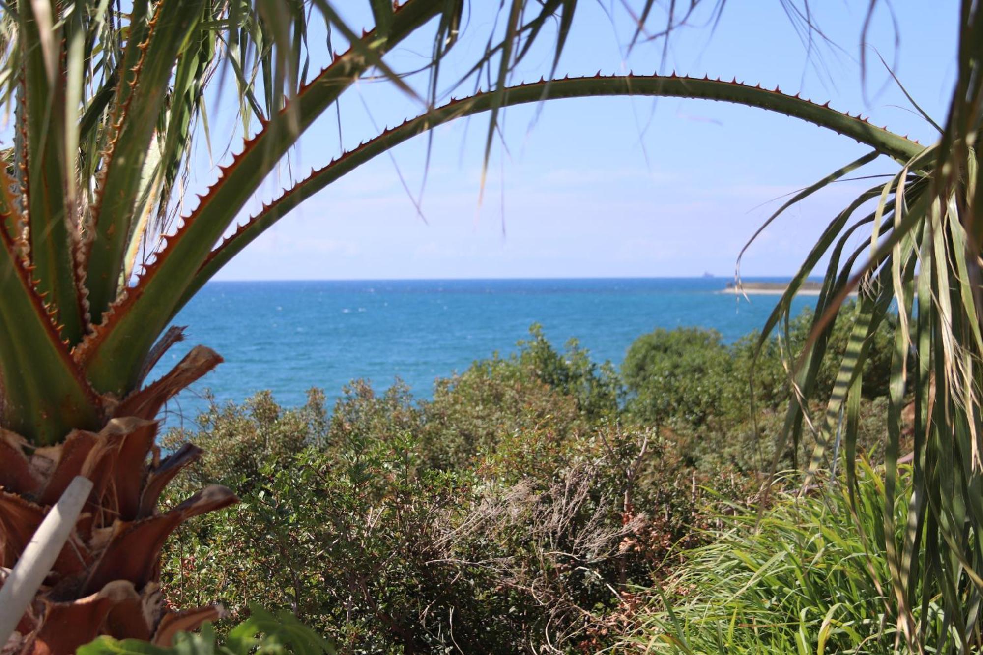 Summer Dream Cyprus Maroni Zewnętrze zdjęcie
